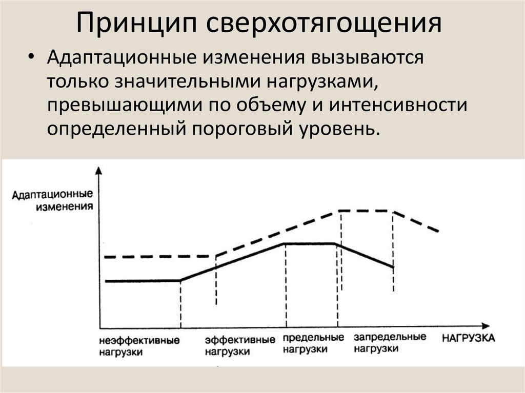 Принцип изменения. Принцип сверхотягощения. Адаптационные изменения. Закономерности развития адаптационных биохимических изменений. В динамике адаптационных изменений.