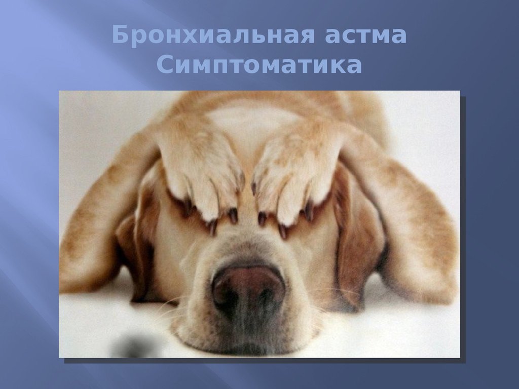 Бронхиальная астма Симптоматика