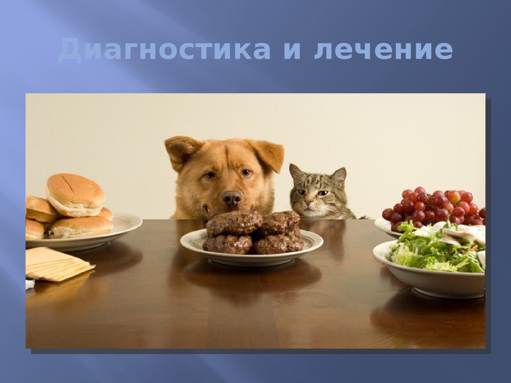 Диагностика и лечение