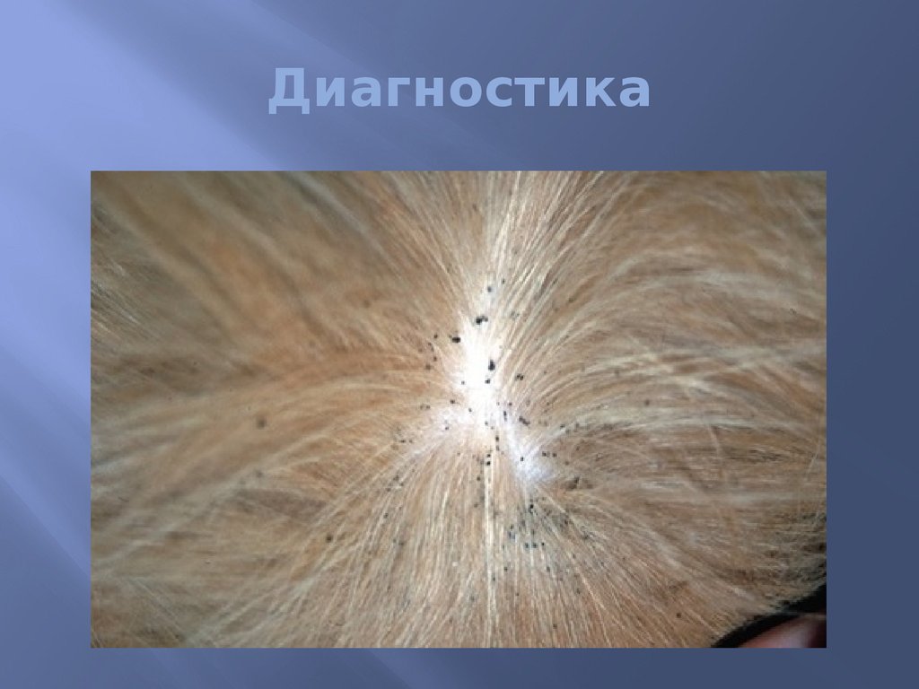 Диагностика