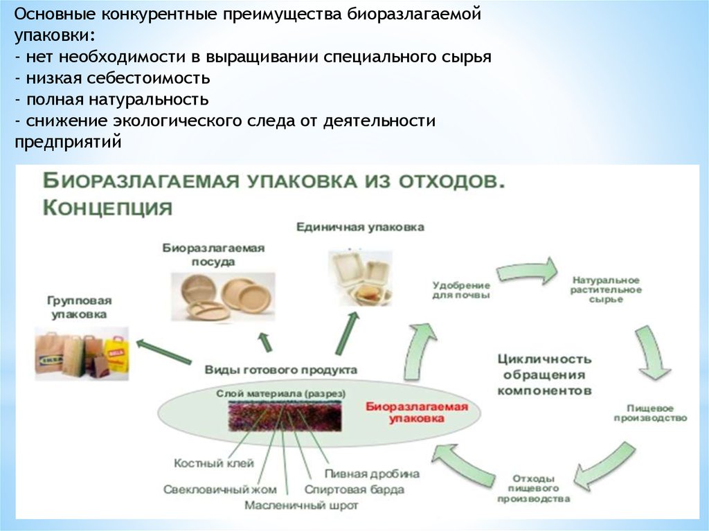 Биоразлагаемые полимеры упаковка будущего проект