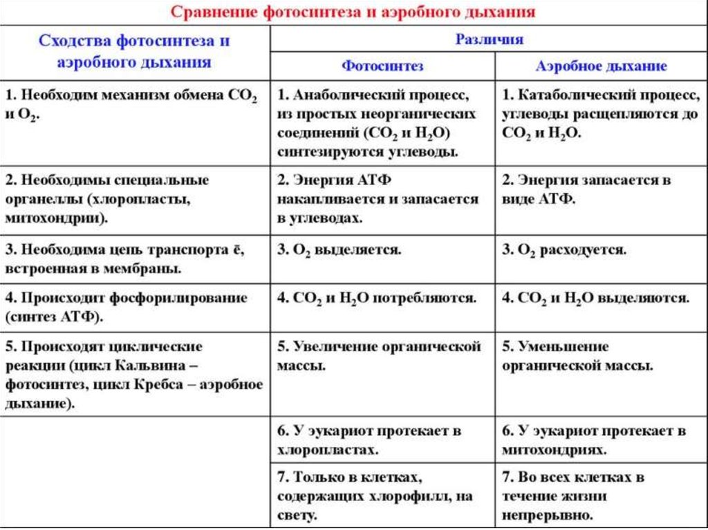 Сравнение дыхания. Сравнение фотосинтеза и аэробного дыхания таблица. Сравнительная таблица фотосинтез Биосинтез энергетический обмен. Сравнения процессы фотосинтеза и энергетического обмена. Сравнительная характеристика энергетического обмена.