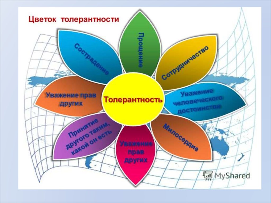 Толерантное образование