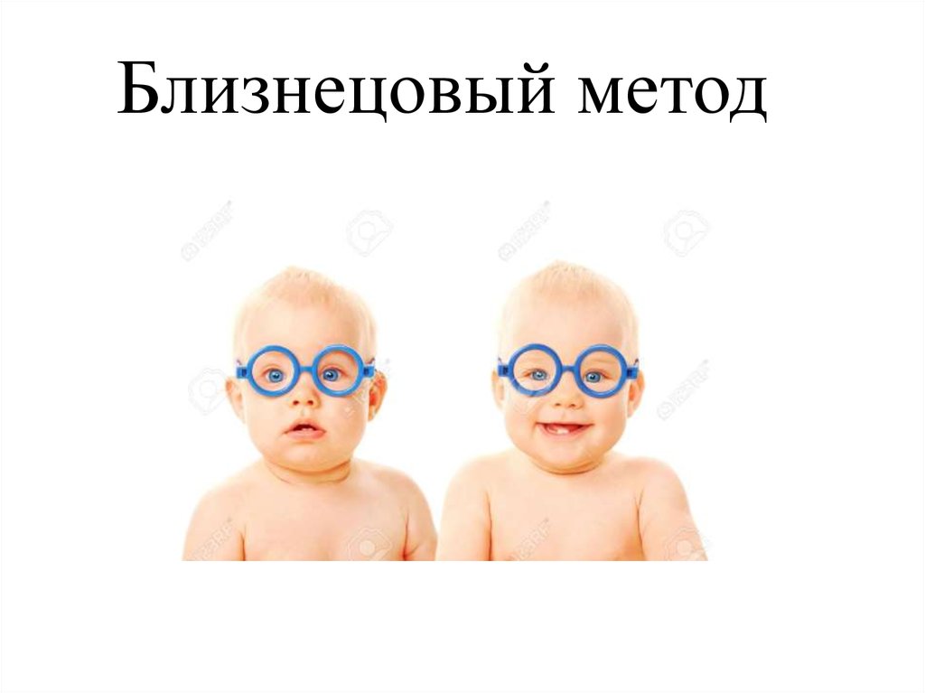 Близнецовый метод  