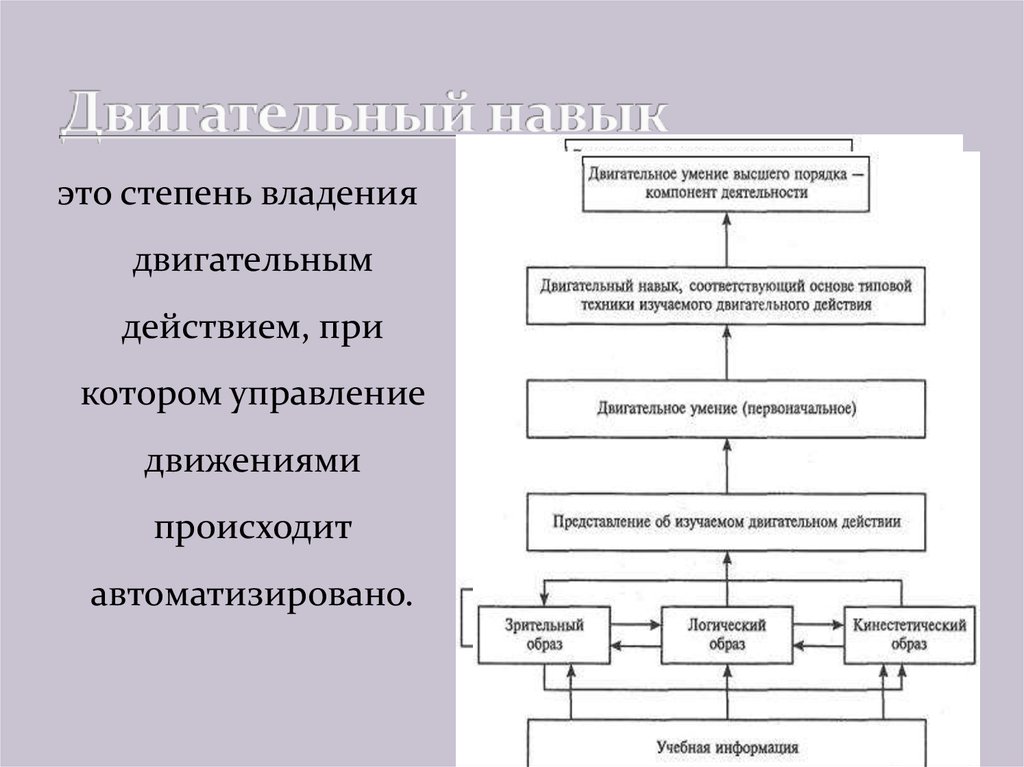 Двигательные процессы. Двигательный навык. Компоненты двигательной реакции в правильном порядке. Компоненты двигательного навыка. Двигательный навык формируется на основе двигательного.