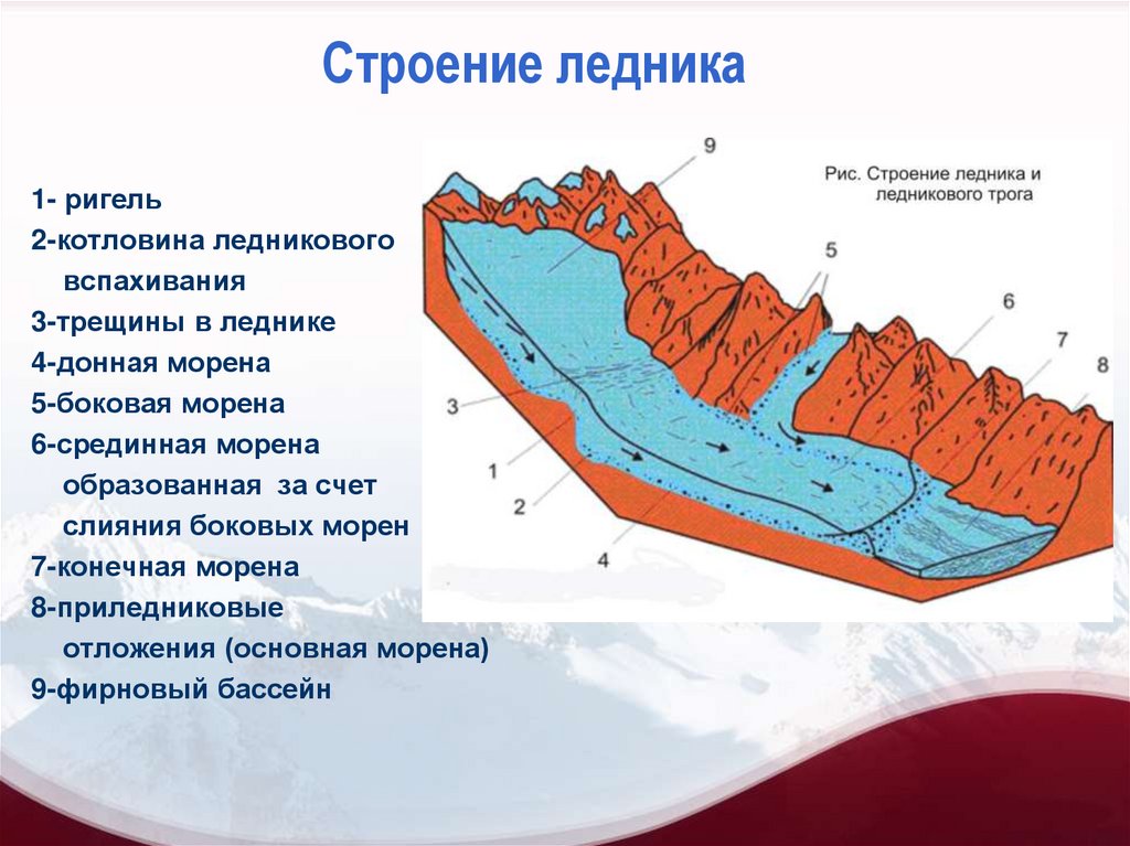 Какой природный процесс отображен на схеме снеговая линия фирновый бассейн