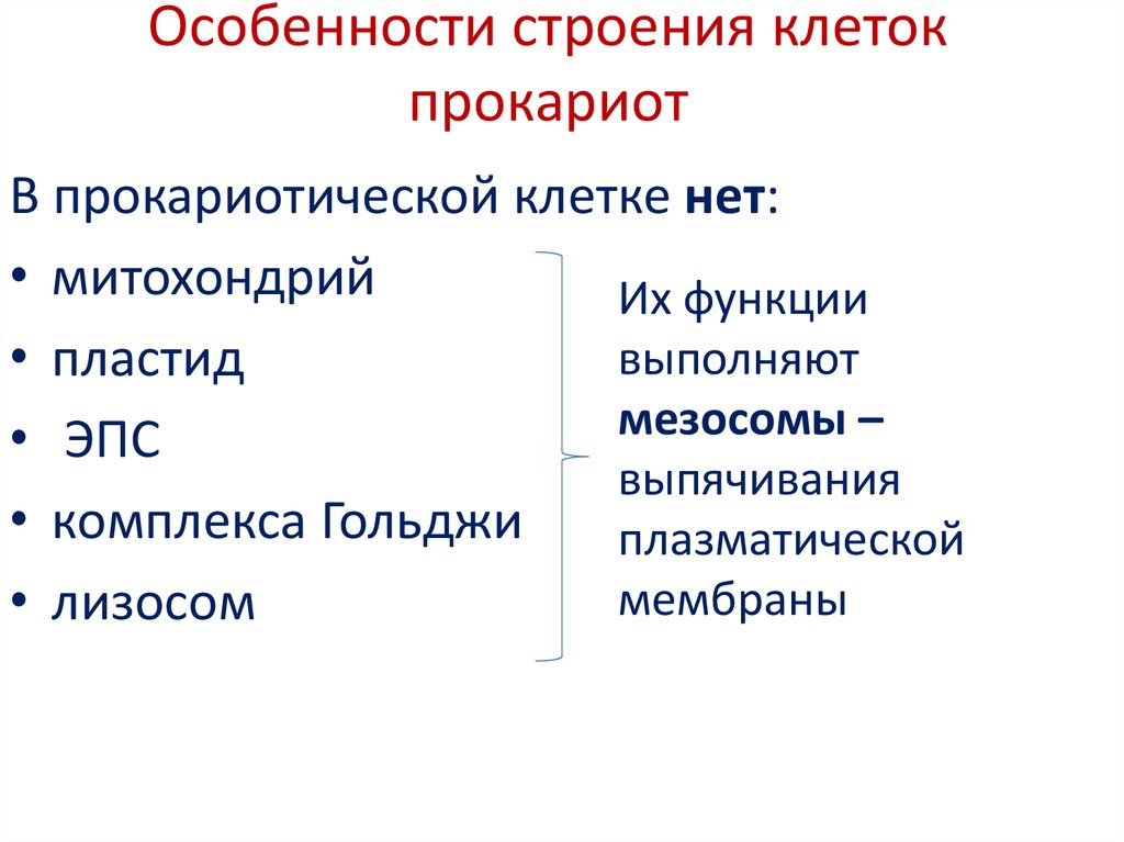 Какие функции клетки. Особенности строения прокариотической клетки. Признаки прокариотической клетки строение. Строение и функции прокариотической клетки. Прокариотические клетки функции.