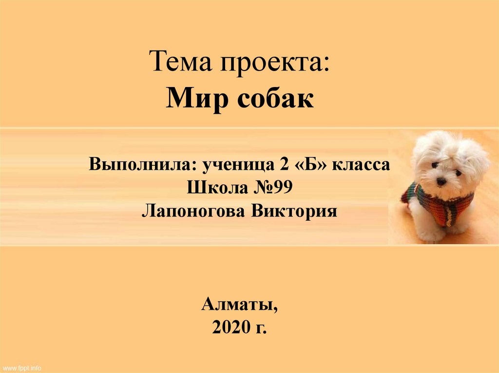 Мир собак проект