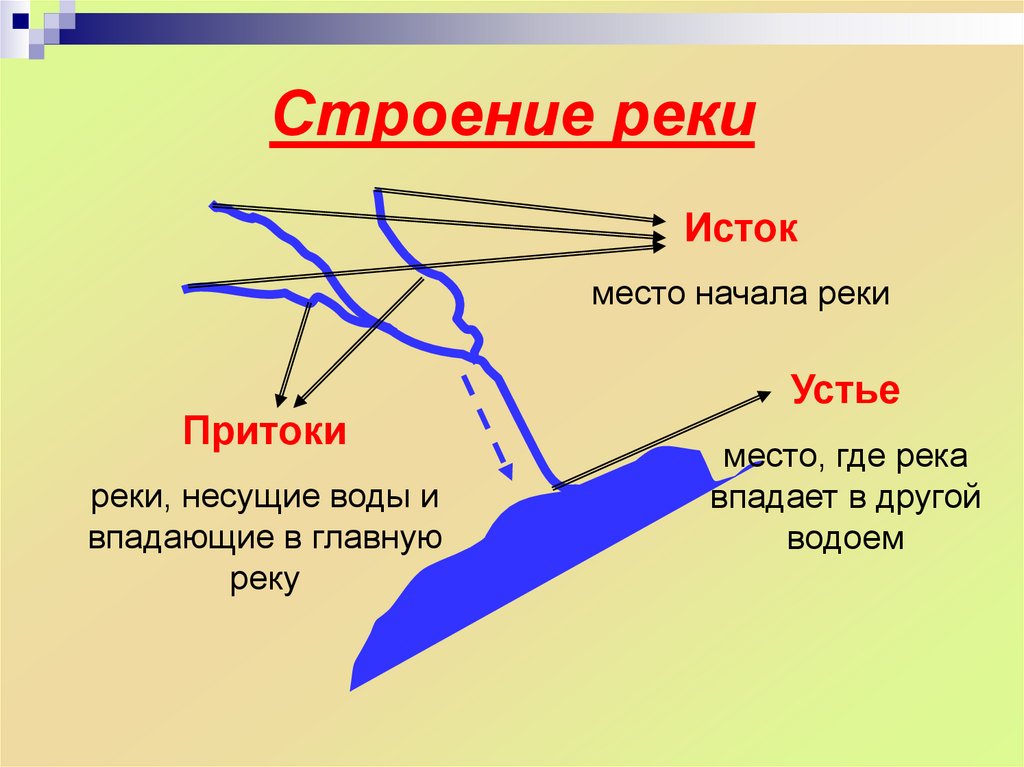 Подпиши на схеме исток и устье