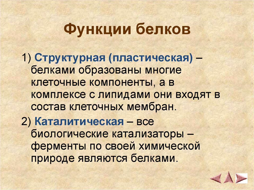 Пластические белки