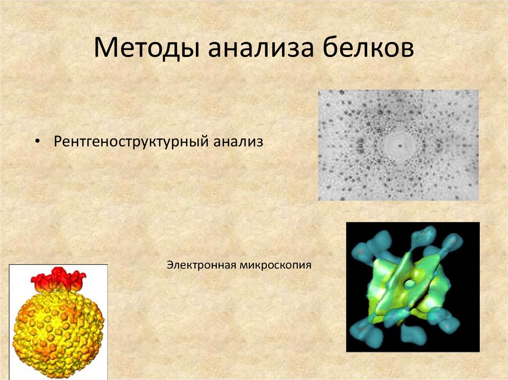 Исследования белков