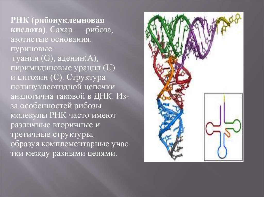 Нуклеиновые кислоты неорганическое вещество. Распад нуклеиновых кислот в клетках. Неорганические Цепочки. Органическая и неорганическая цепочка в виде фигуры.