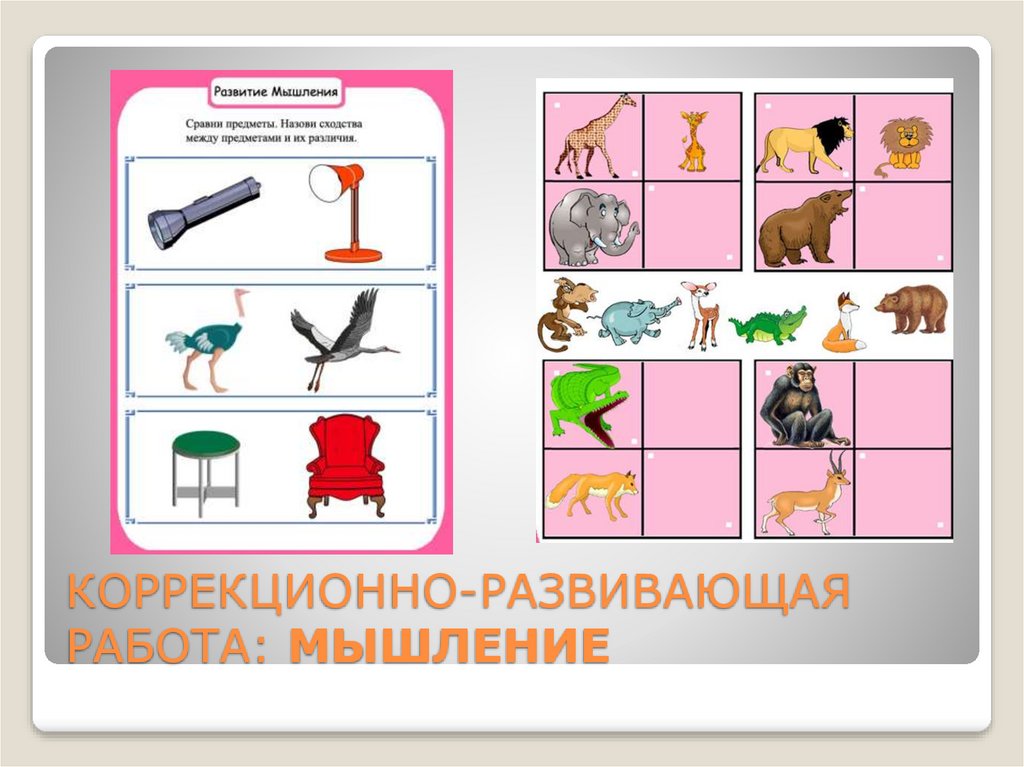 КОРРЕКЦИОННО-РАЗВИВАЮЩАЯ РАБОТА: МЫШЛЕНИЕ