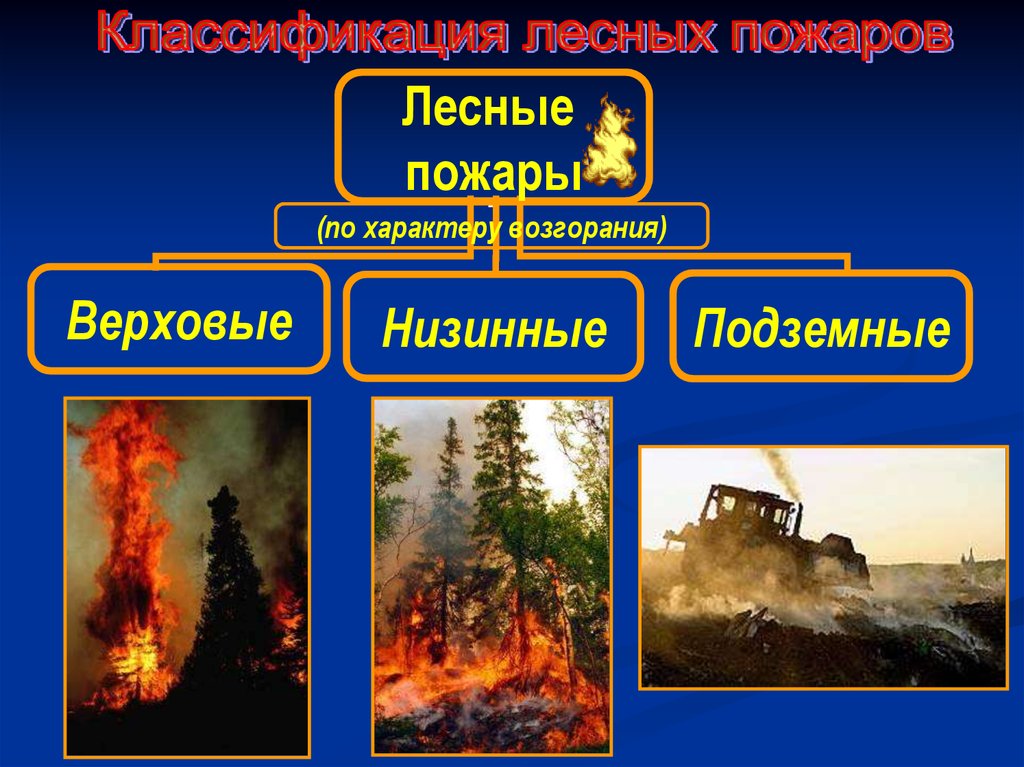 Техногенным пожарам относится. Лесные пожары по характеру. Лесные и торфяные пожары. Природные пожары по характеру горения. Классификация торфяных пожаров.