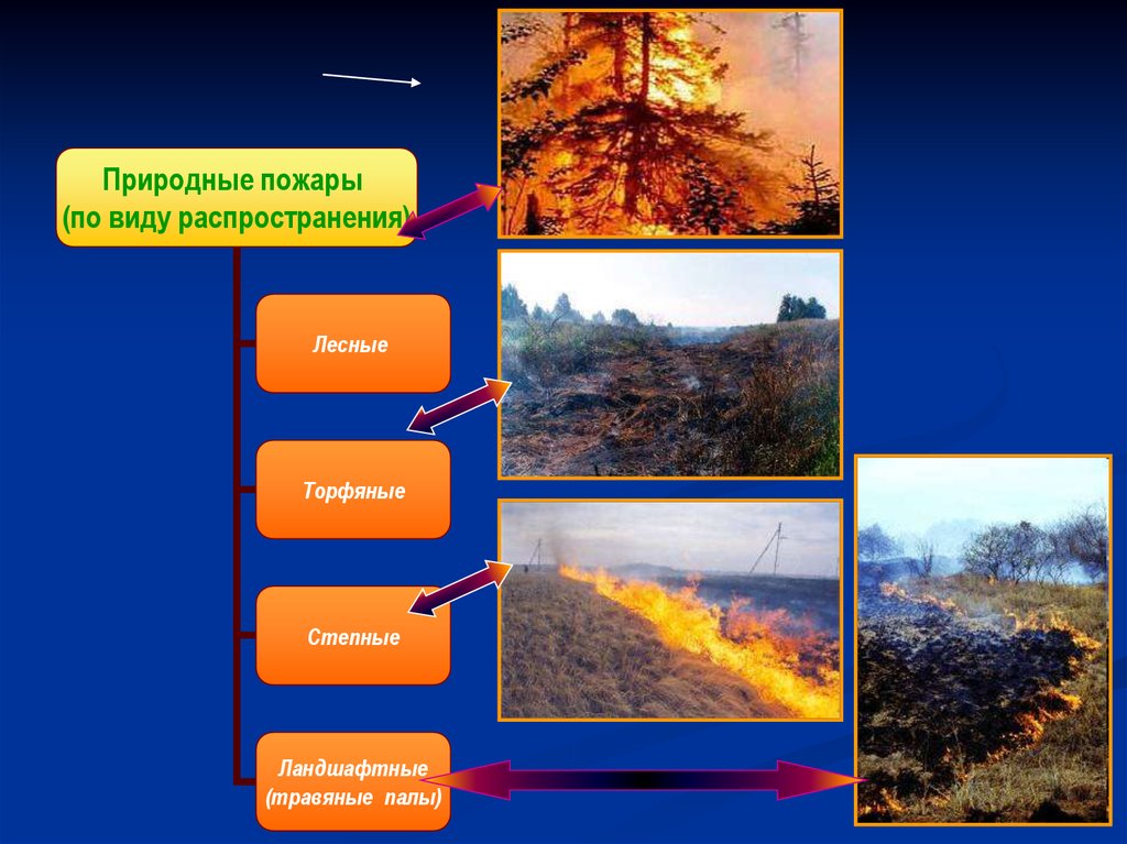 Особенности природного пожара. Лесные и торфяные пожары. Классификация природных пожаров. Природные пожары подразделяются на. Виды торфяных пожаров.