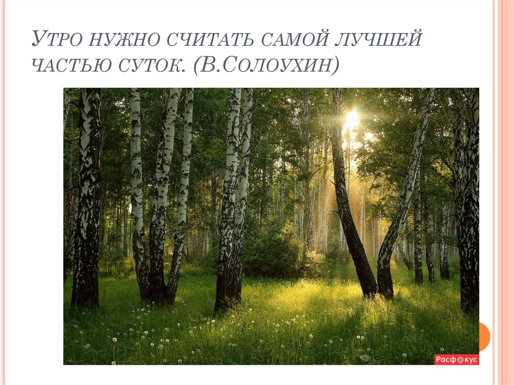 Утро нужно считать самой лучшей частью суток. (В.Солоухин)