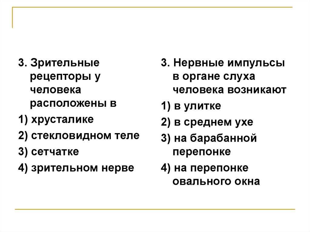 Анализаторы 8 класс самостоятельная работа. Зрительные рецепторы человека. Зрительные рецепторы у человека находятся в.