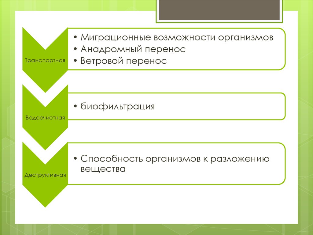 Геоэкологические особенности биосферы презентация