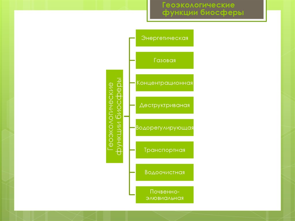 Какие проблемы в биосфере. Геоэкологические функции биосферы. Геоэкологические+особенности+биосферы. Геоэкологические проблемы биосферы. Функции почв в биосфере энергетическая.