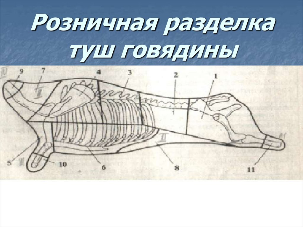 Схема разделки свиной туши