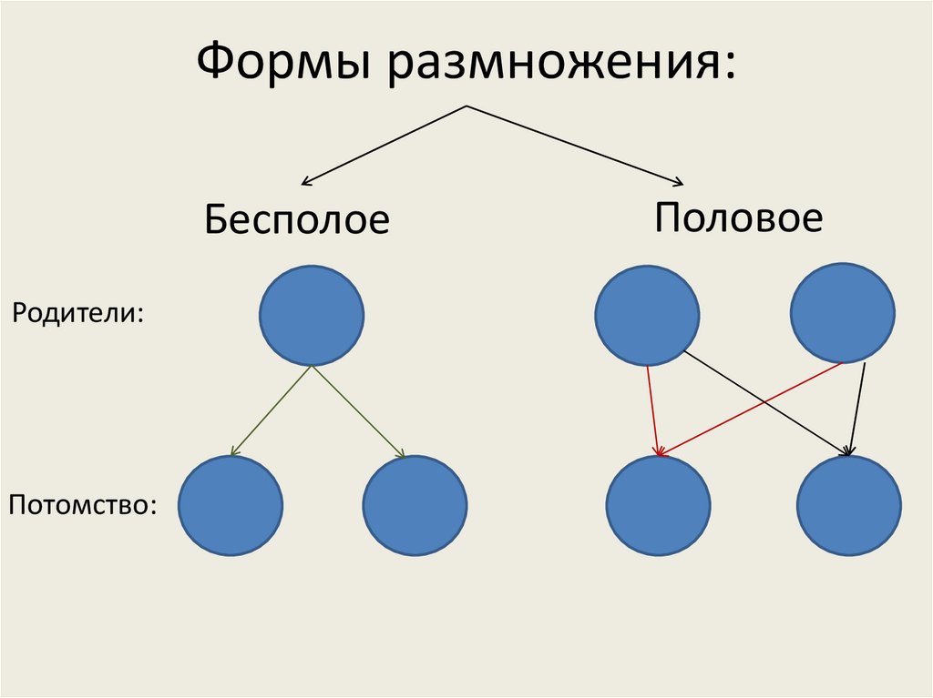 Виды полового размножения