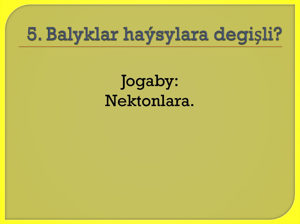5. Balyklar haýsylara degişli?
