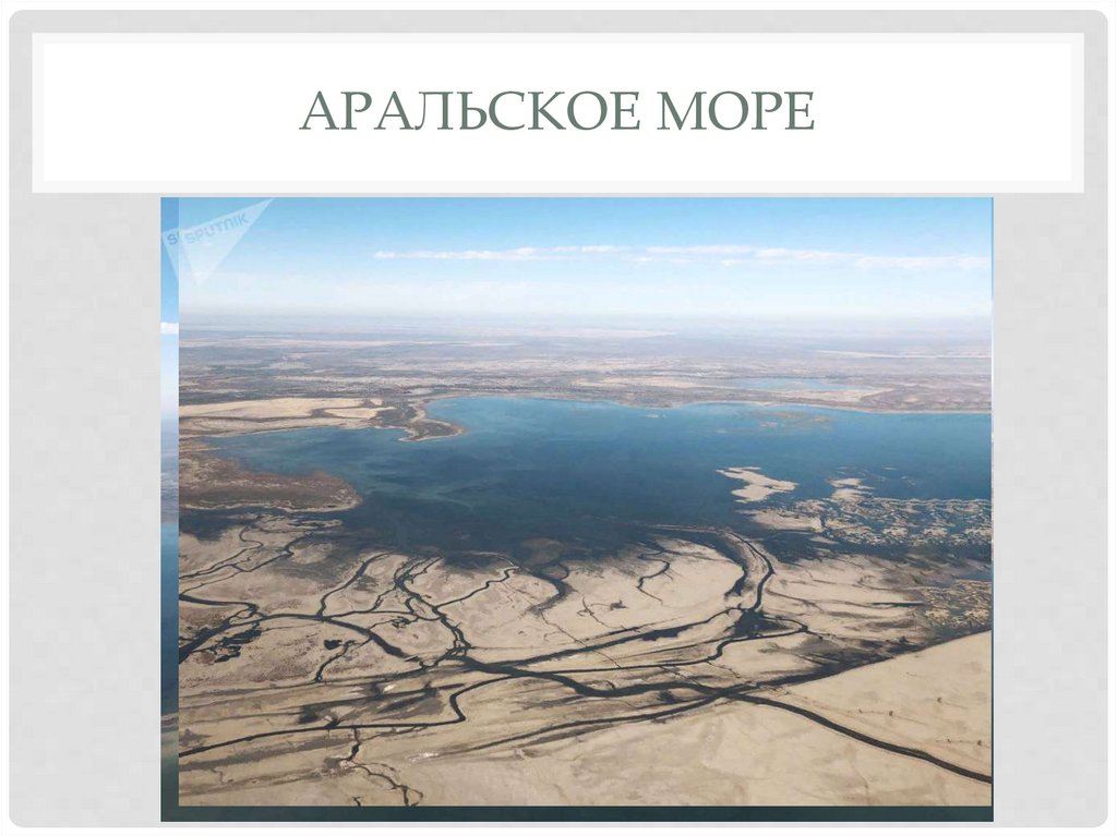 Проект проблемы аральского моря