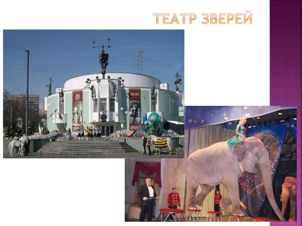 Театр зверей