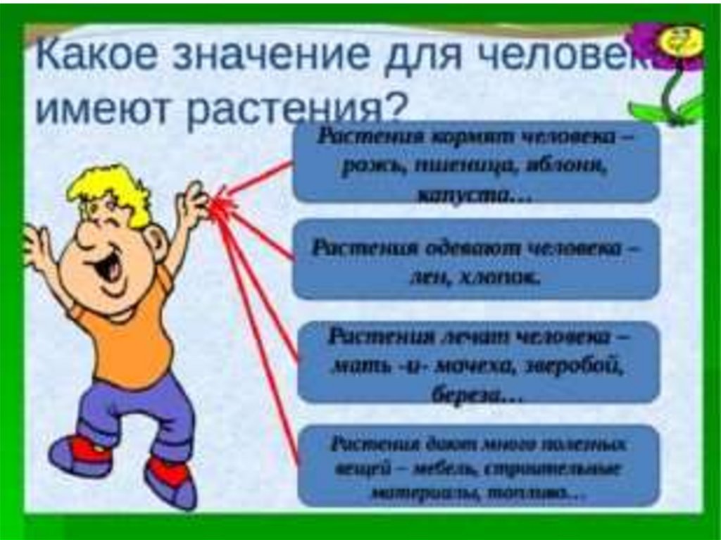 Что дают растения человеку. Растения которые одевают человека. Культурные растения которые одевают человека. Растения котоыеодевают. Растения которые одевают человека человека.