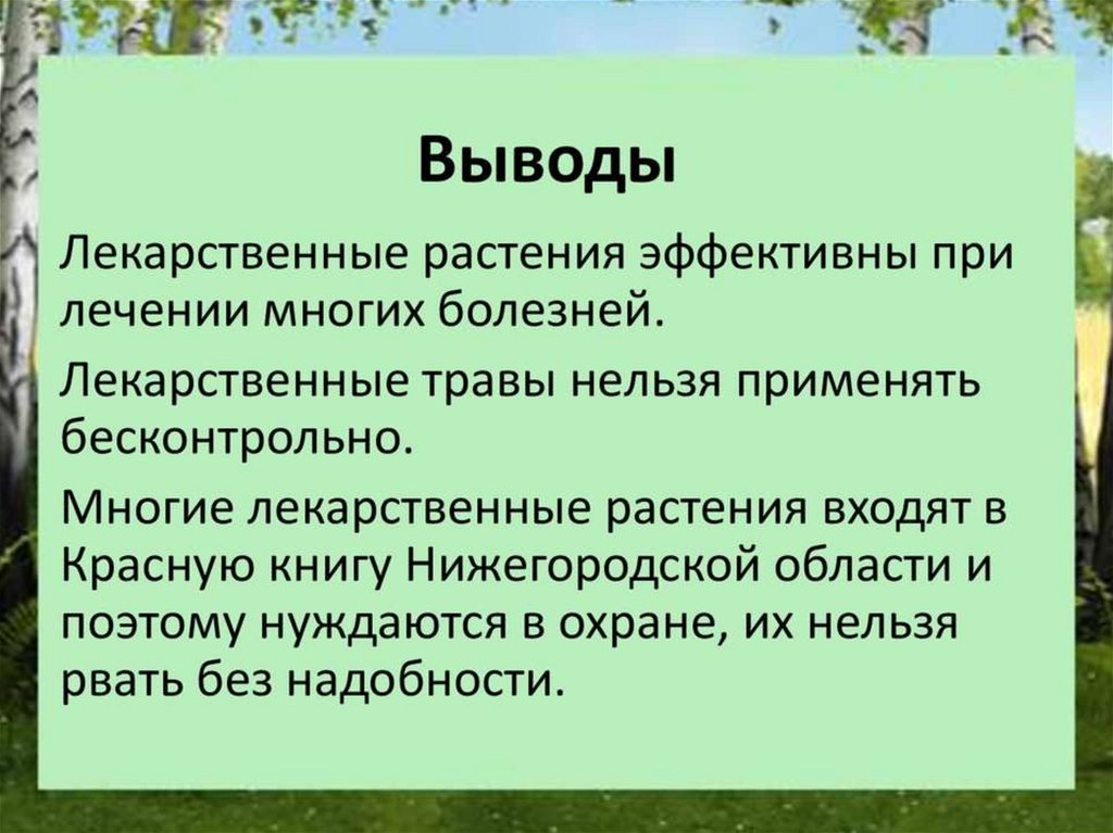 Целебные травы презентация