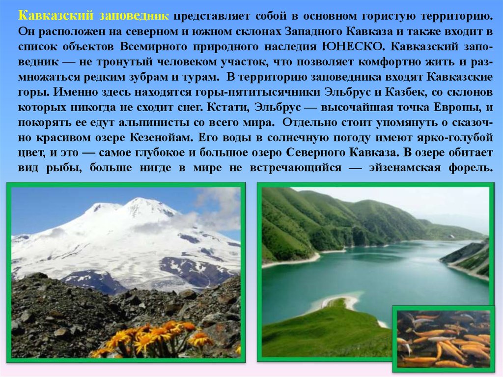 Кавказский заповедник представляет собой в основном гористую территорию. Он расположен на северном и южном склонах Западного