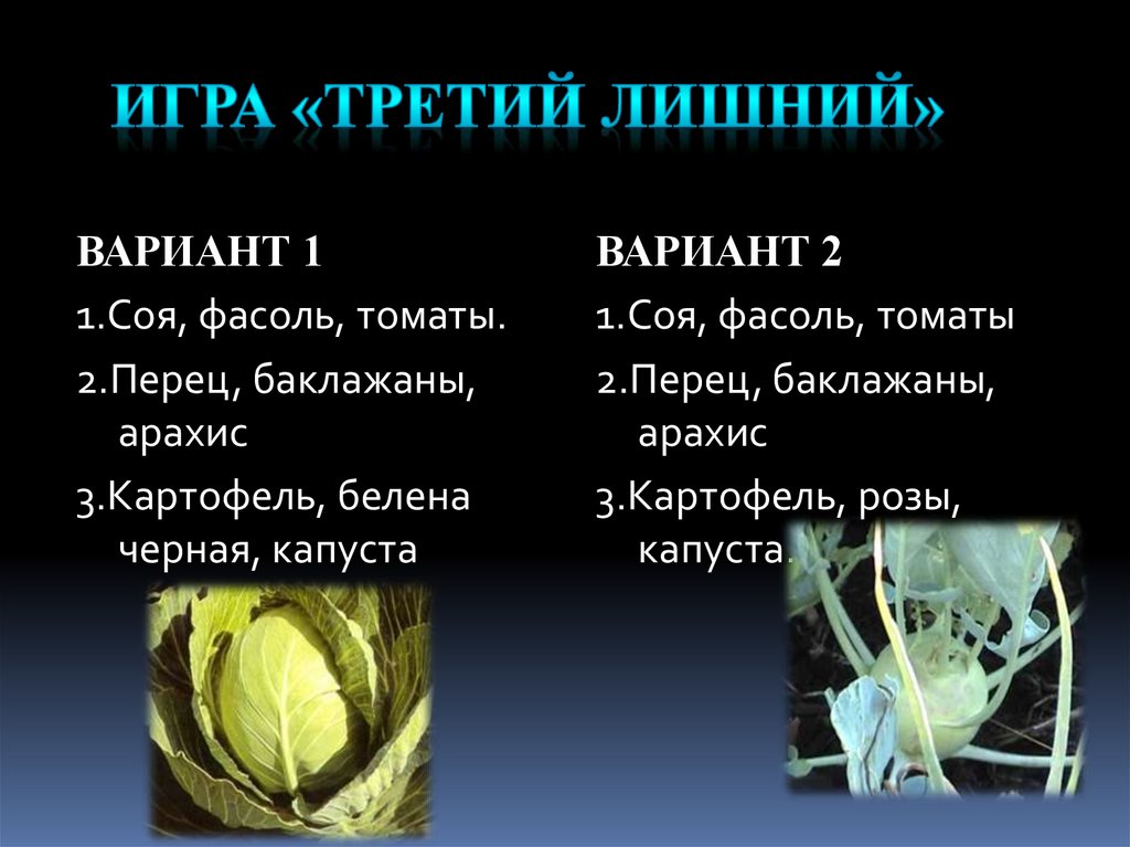 Тесты по биологии по семействам. Формула крестоцветных растений. Конспект класс двудольные семейство крестоцветные. Капуста темная. Загадки о крестоцветных.