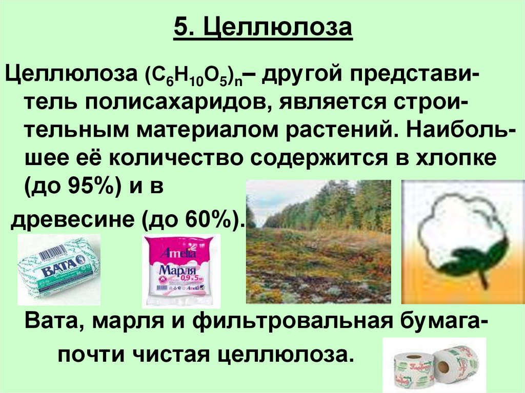 Презентация по теме целлюлоза