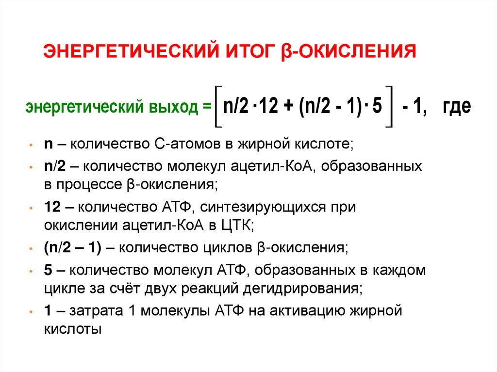 Выход кислоты. Энергетический выход при окислении жирных кислот. Энергетическая эффективность одного оборота бета окисления формула. Энергетический выход бета окисления жирных кислот. Энергетическая эффективность окисления жирных кислот.