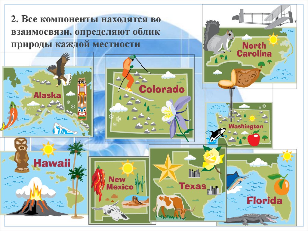 Природные комплексы своей местности презентация