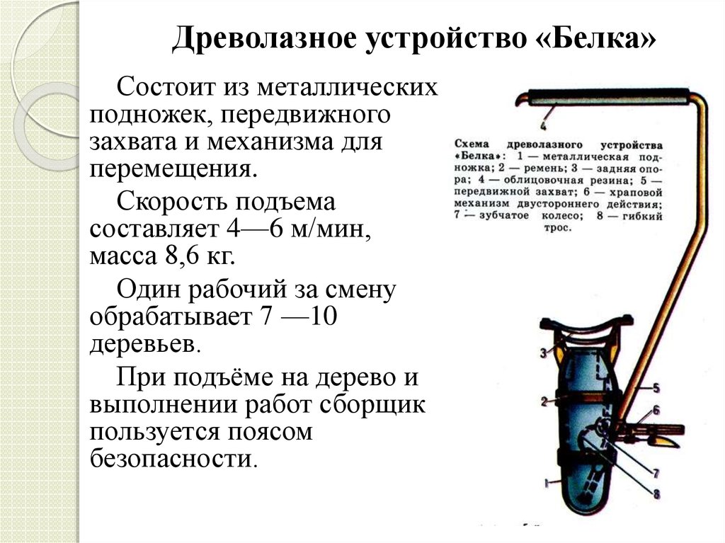 Устройство состоящее из двух. Древолазные устройства. Устройство белка. Древолазное устройство ДК-1. Древолазное белка схема захвата.