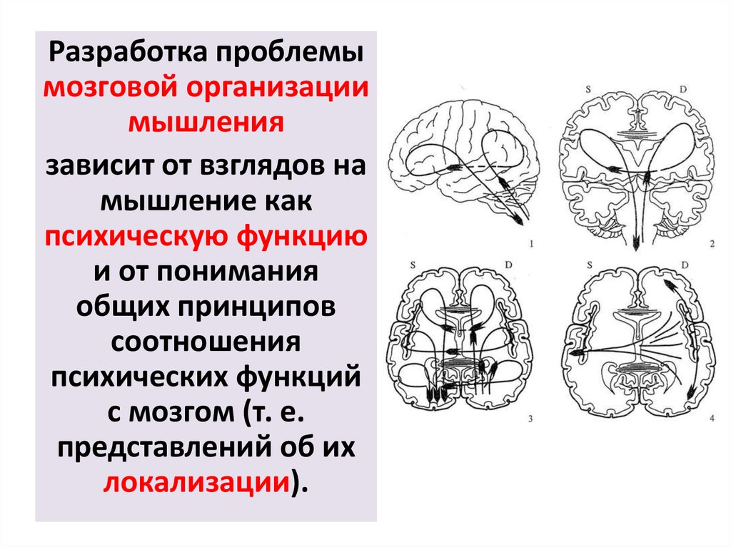 Презентация нарушения мышления при локальных поражениях мозга