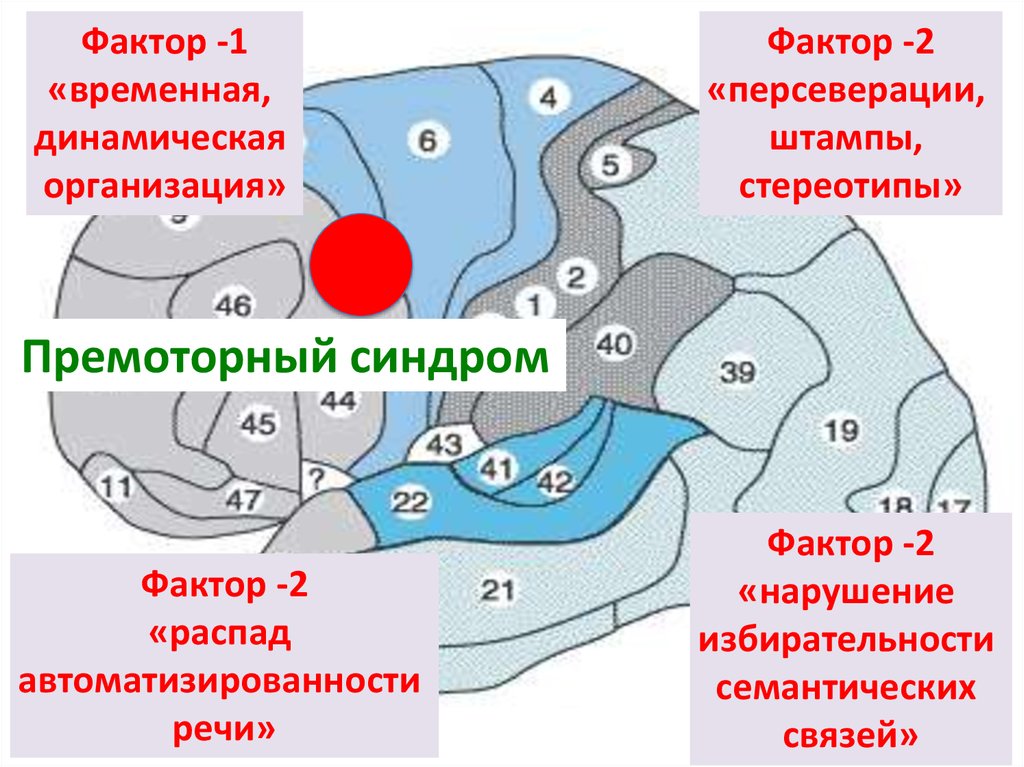 Презентация нарушения мышления при локальных поражениях мозга