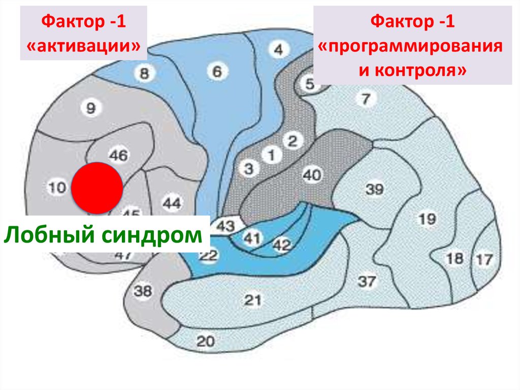 Презентация нарушения мышления при локальных поражениях мозга