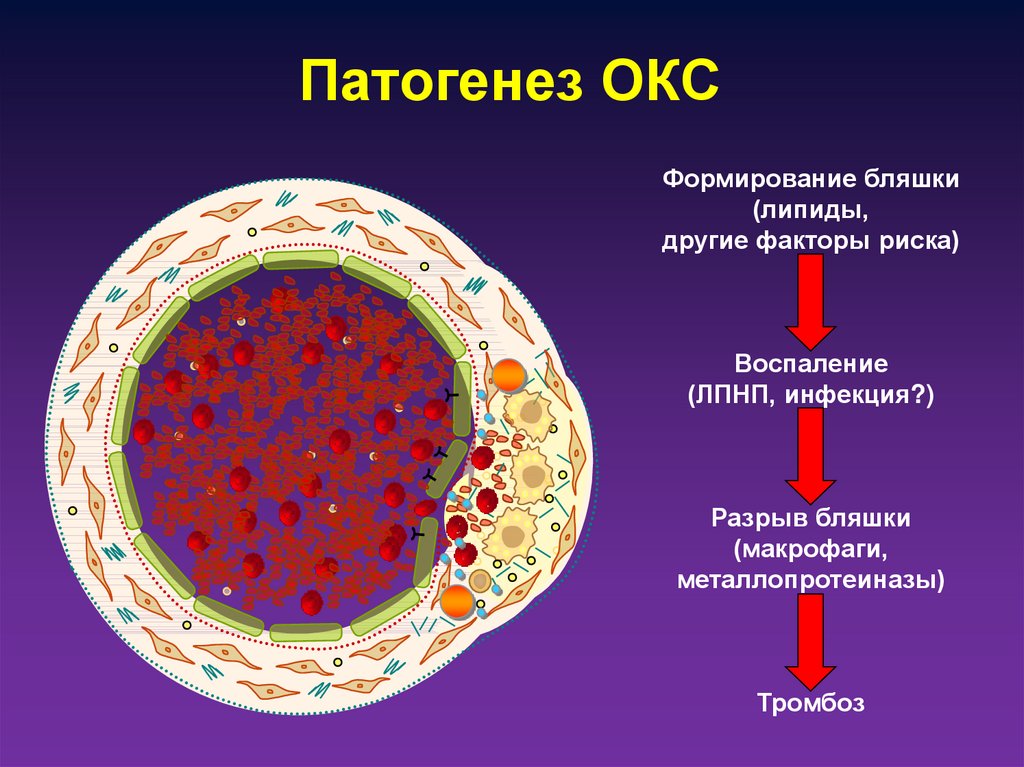 Окс контакты