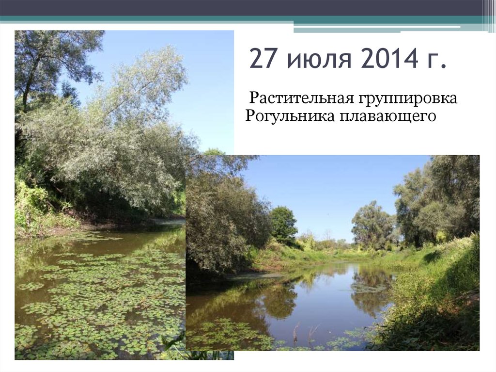 27 июля 2014 г.