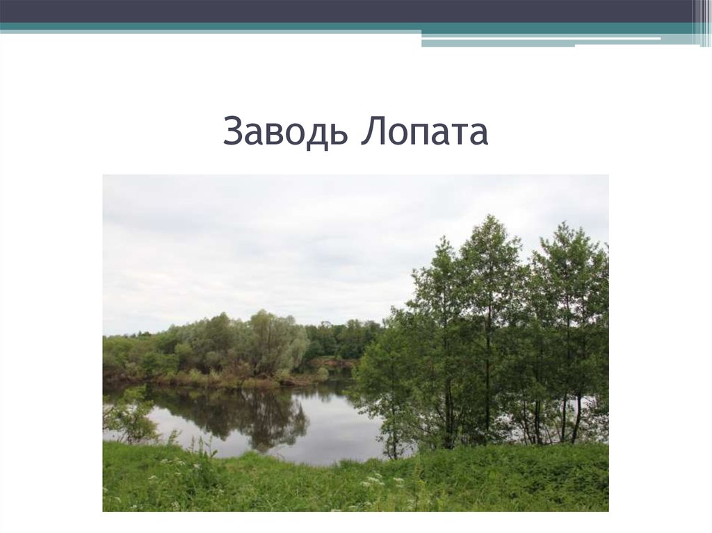 Заводь Лопата