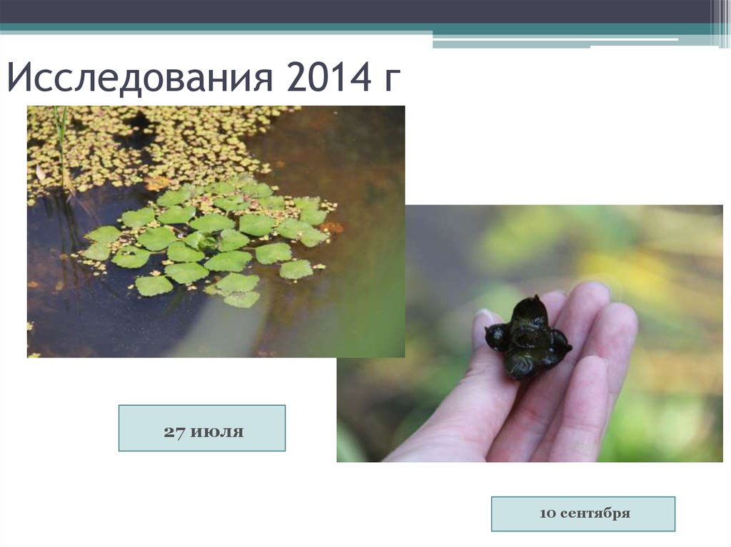 Исследования 2014 г