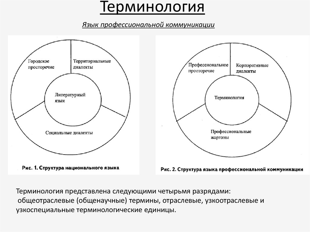 Терминология науки