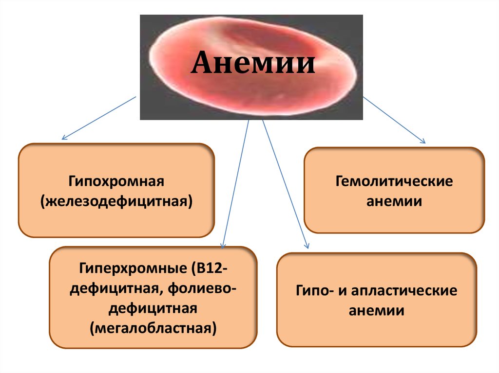 Факторы развития анемий