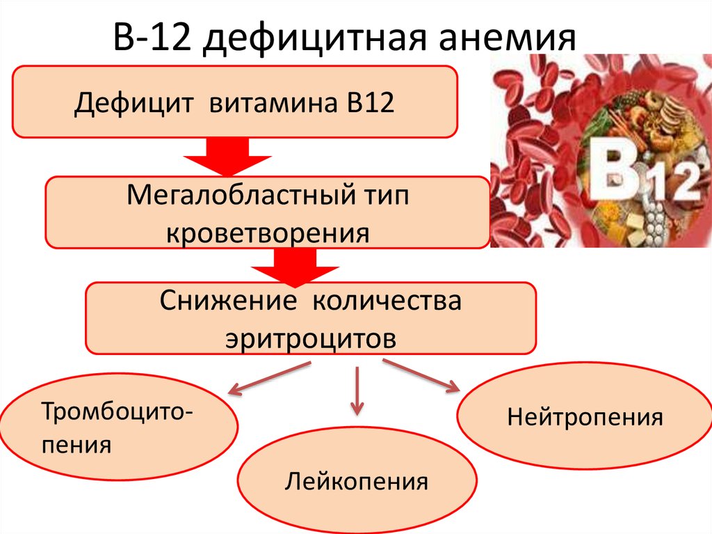Б 12 исследования. Анемия дефицита витамина b12 симптом. Витамин в12 дефицитная анемия жалобы. Б 12 дефицитная анемия изменения в крови. При б12 дефицитной анемии отмечается.