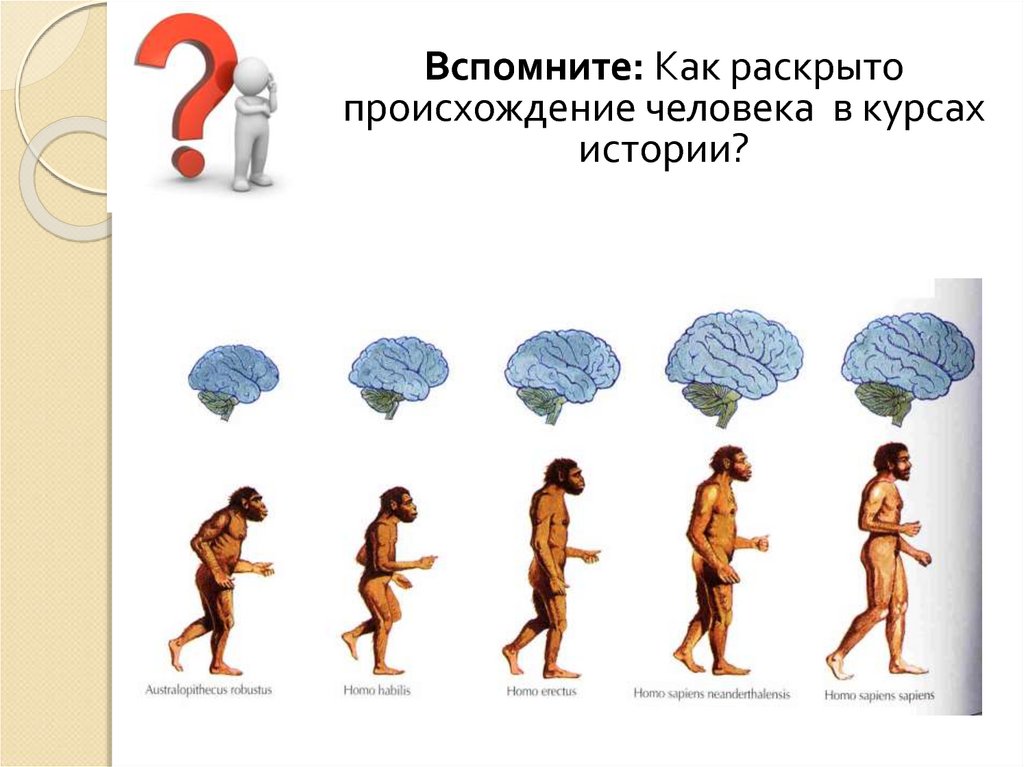 Изображение человека сбоку называется ответ