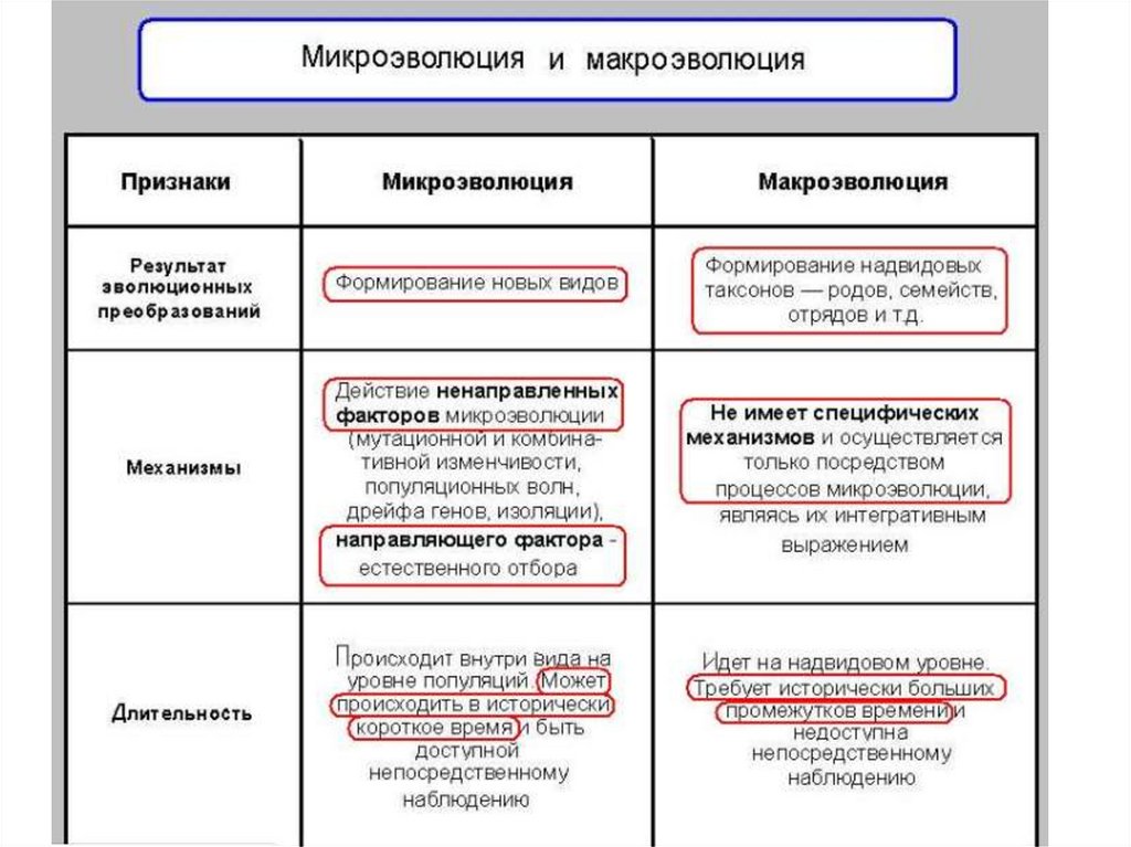 Схема эволюционного процесса