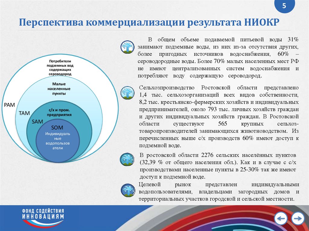 Перспективы коммерциализации проекта