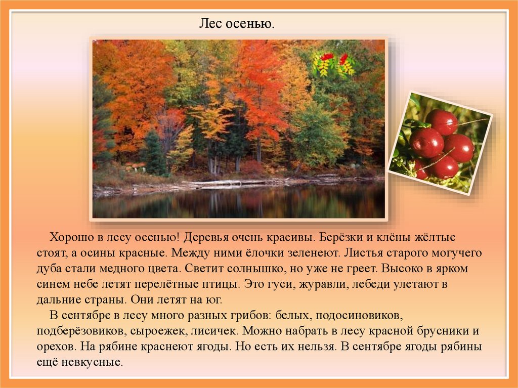 Текст описания осени. Красивое описание осени. Сочинение на тему лес осенью. Описание осенью. Осенний лес для презентации.